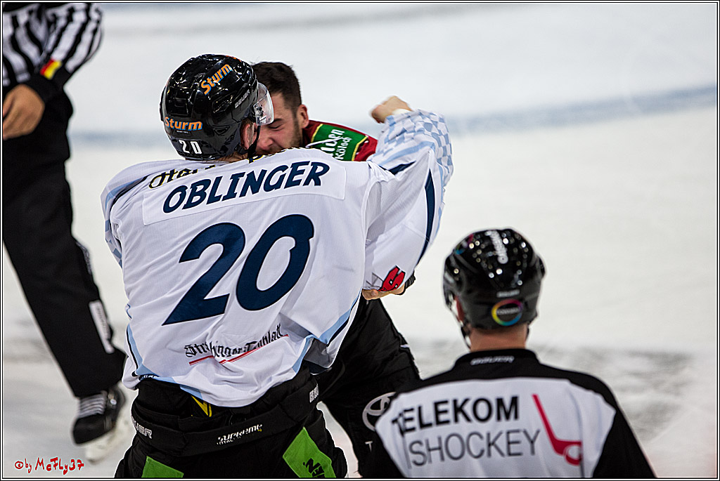 Koelner Haie - Straubing Tigers, 03.10.2016